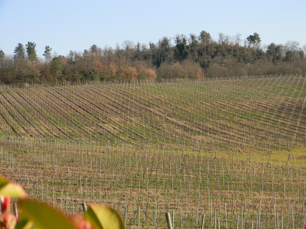 세레디라폴라노 Agriturismo Podere La Selva 빌라 외부 사진